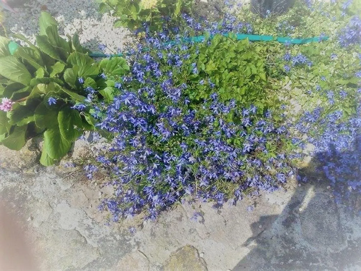 Un Petit Coin De Paradis Gluiras Frankreich