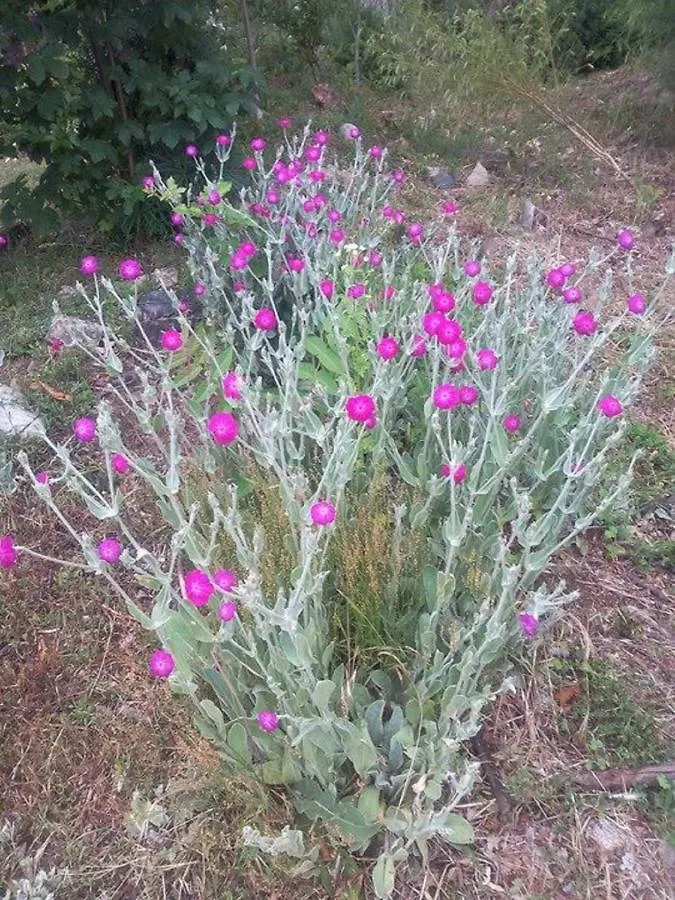 Un Petit Coin De Paradis Gluiras Dom wakacyjny